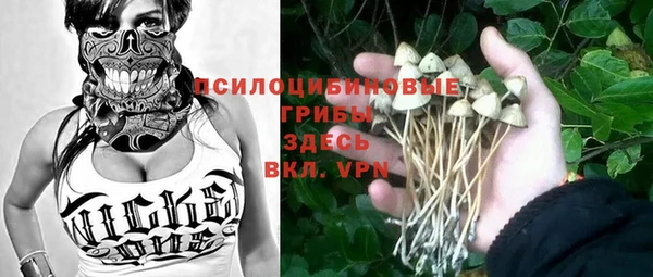 ешки Россошь